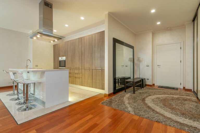 Interior of modern apartment with kitchen and hallway